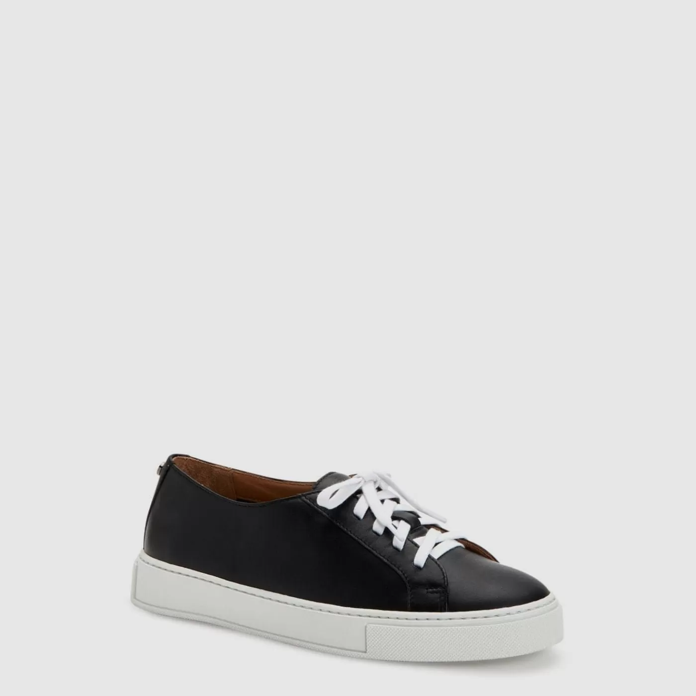Ollie | Aquatalia New
